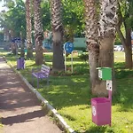 Sare Downtown